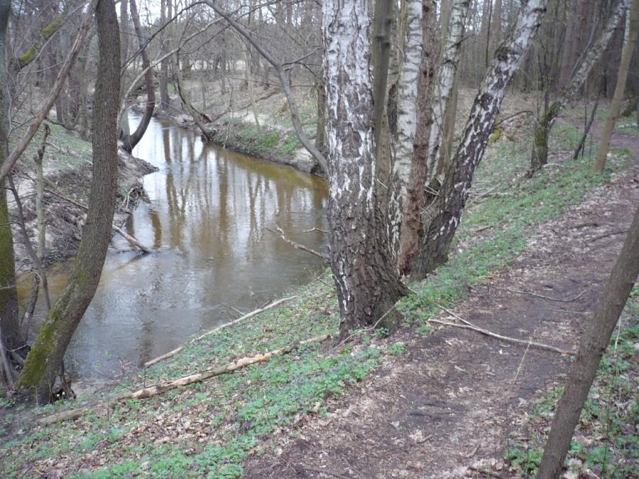 Nad rzeczką opodal krzaczka...