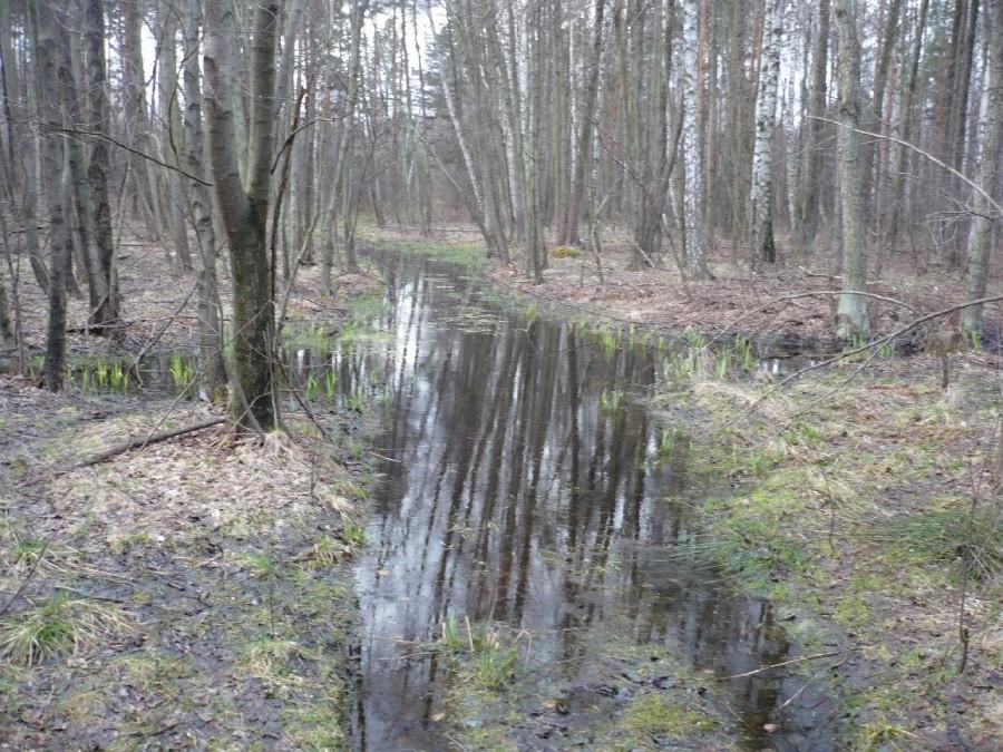Strumyk, czy droga?