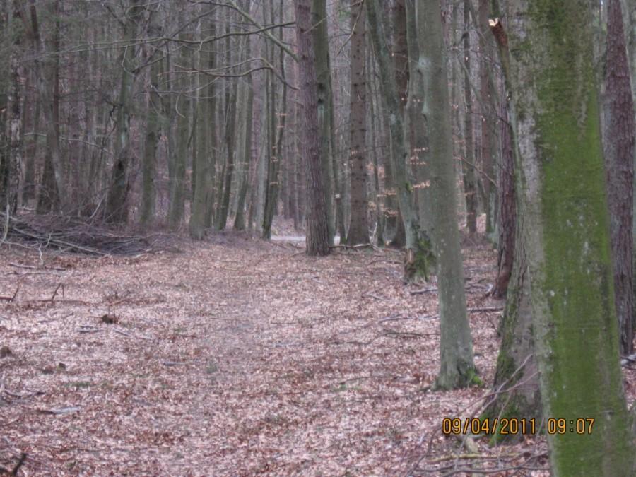 Kierunek Sopot