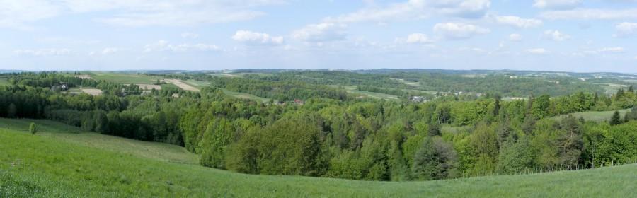 Panorama w Ulanicy w pełni lata
