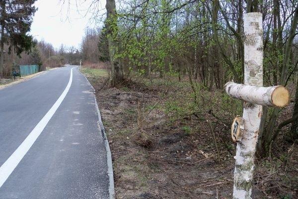 Jedna ze stacji drogi krzyżowej przy rowerówce w Wierszach.