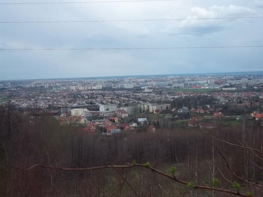 Rzeszówek