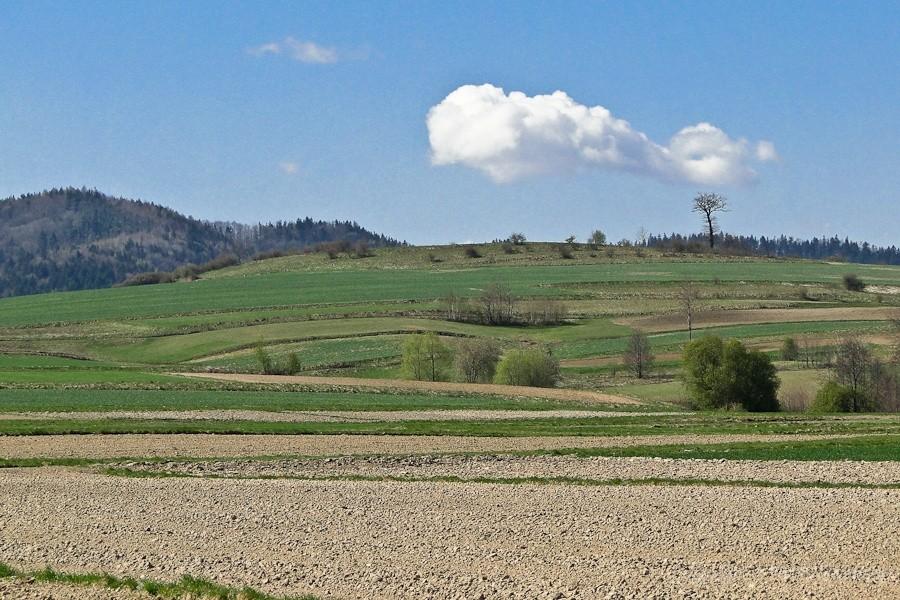 pod chmurką