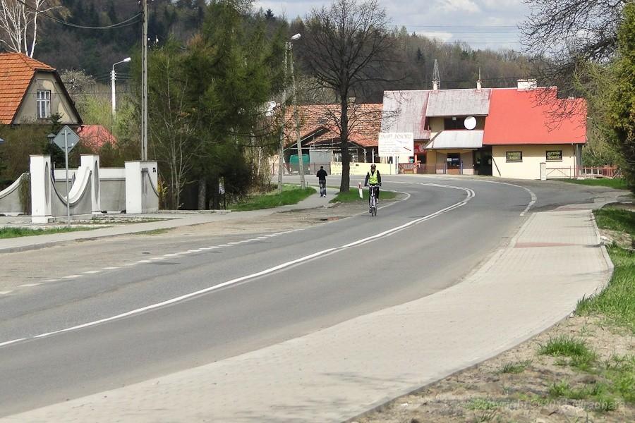 Kajman na trasie
