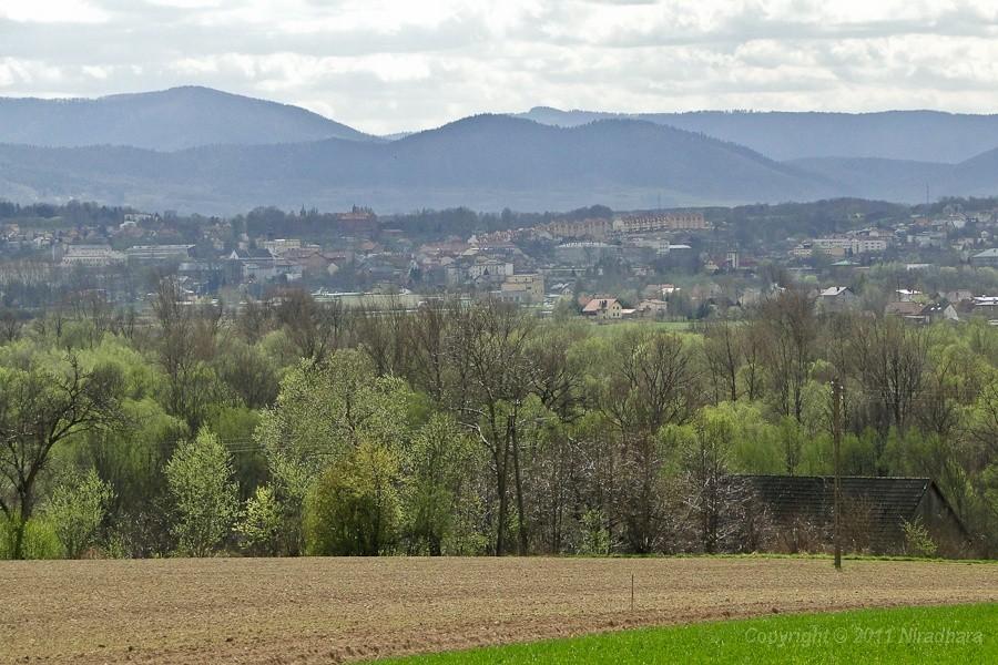 widoczek