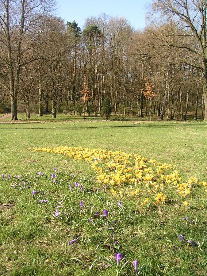 Dywany kwiatowe [park w Ostromecku]