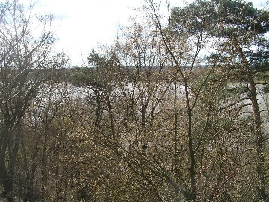 Wdrapaliśmy się na wał w poszukiwaniu widoku na Wisłę