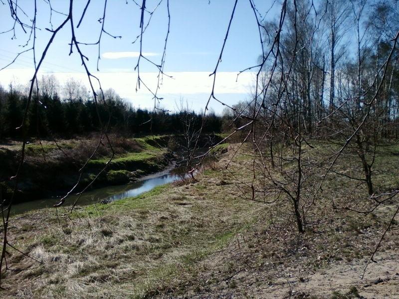 Jasień