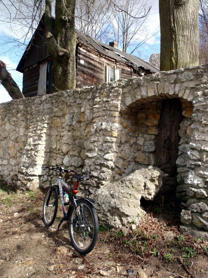 Trzebniów - mur z drzewem