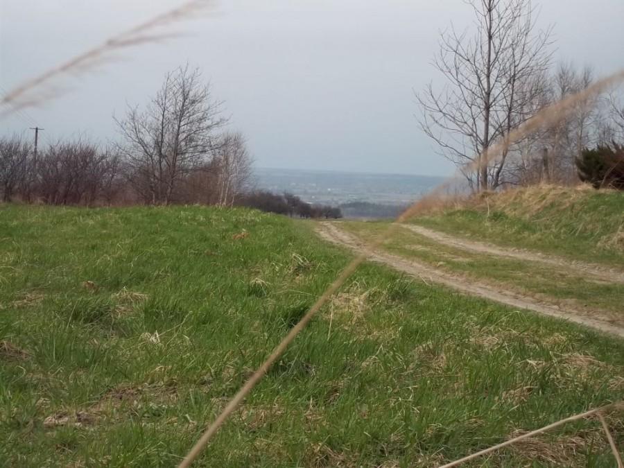 zjazd do Kraczkowej..