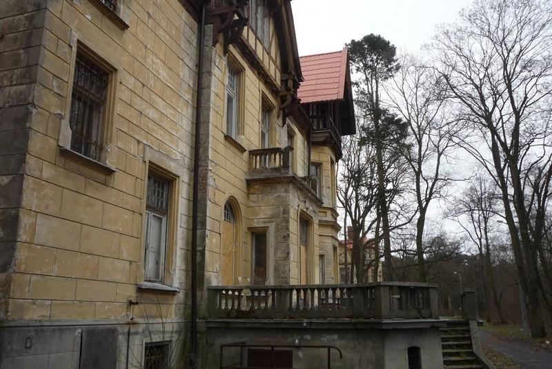 Turczynek