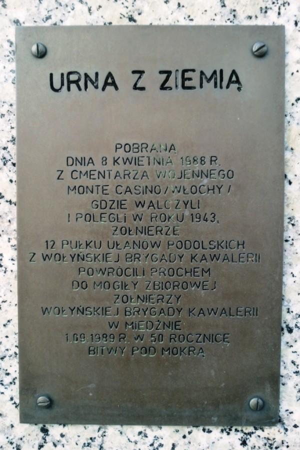 Z cmentarza w Miedźnie