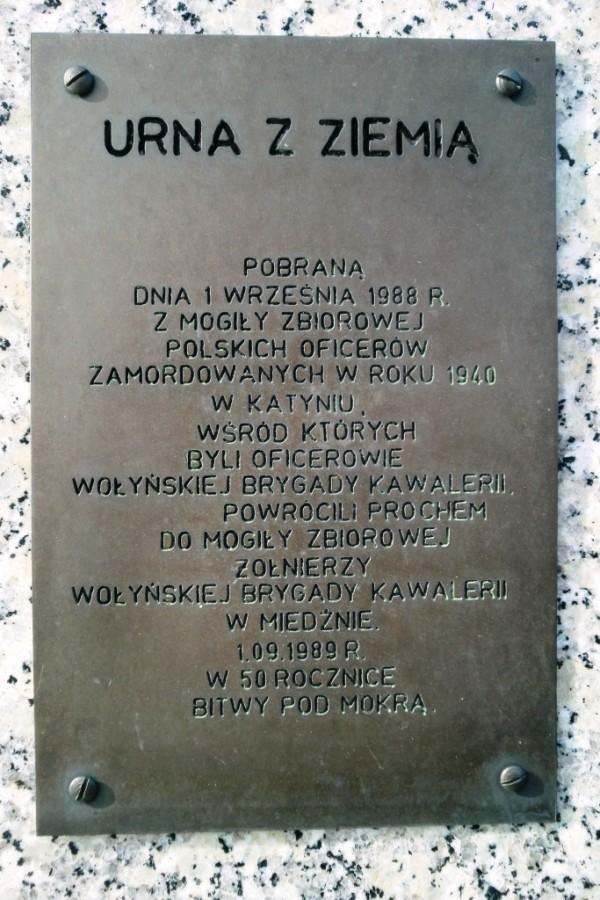 Z cmentarza w Miedźnie