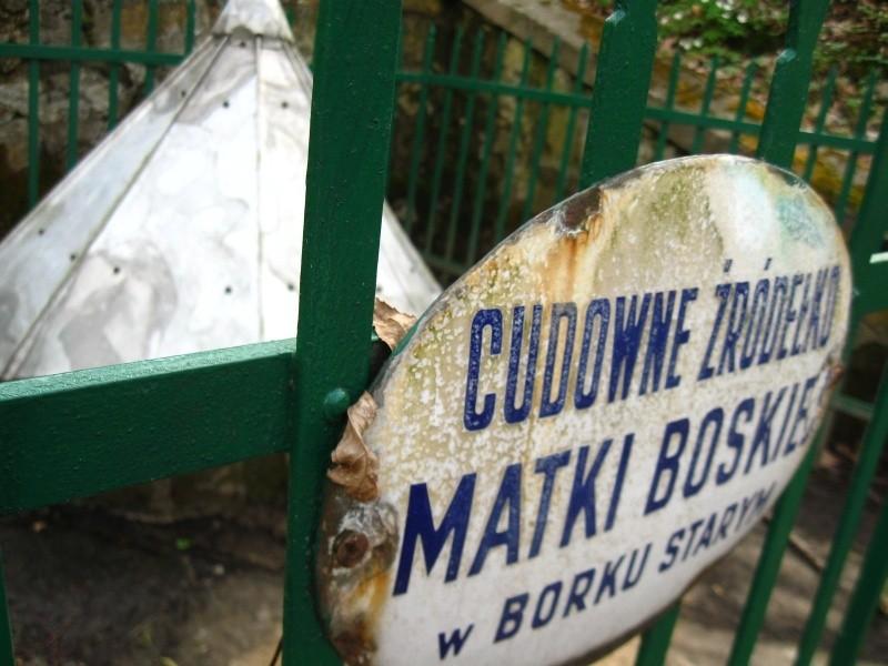 W Borku Starym.
