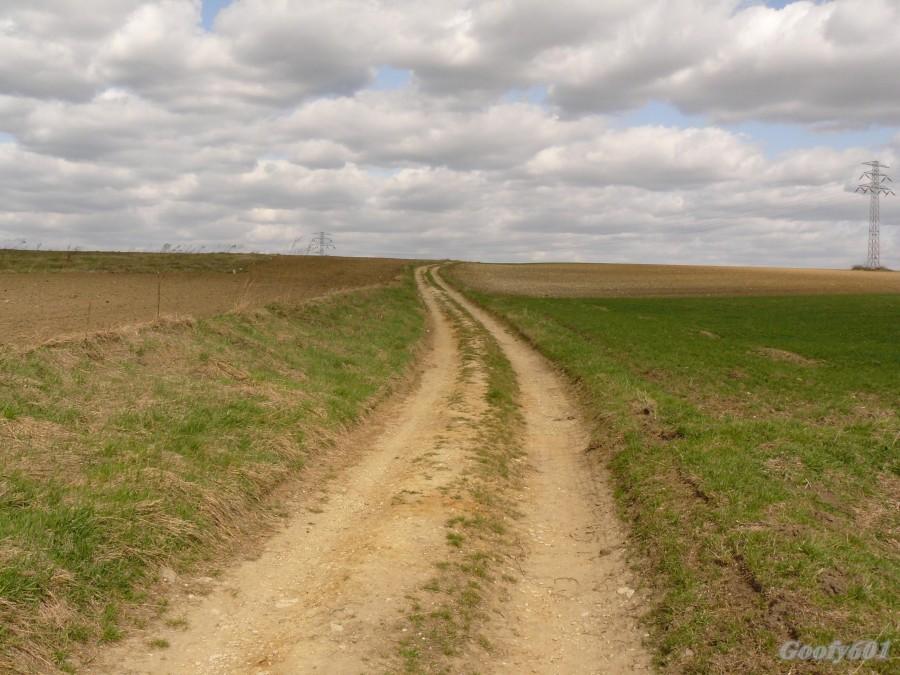 W poszukiwaniu następnego.