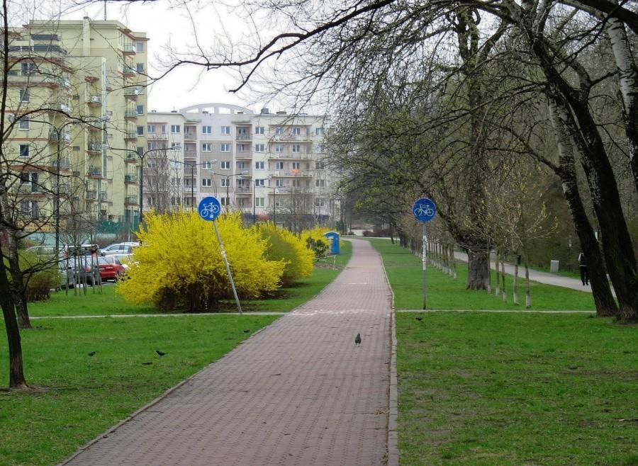 Natolin - Aleja Kasztanowa