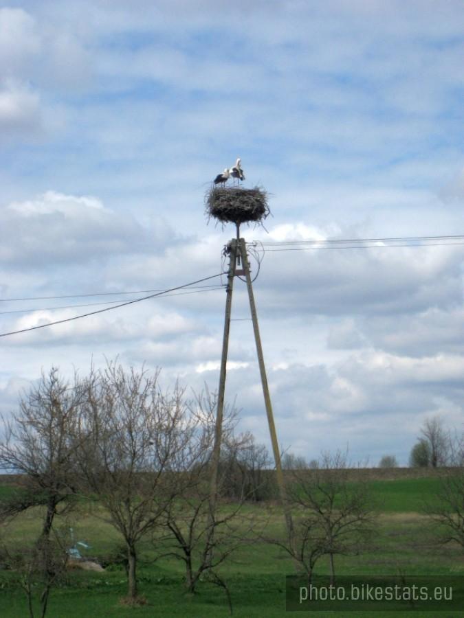Państwo Bocianowscy.