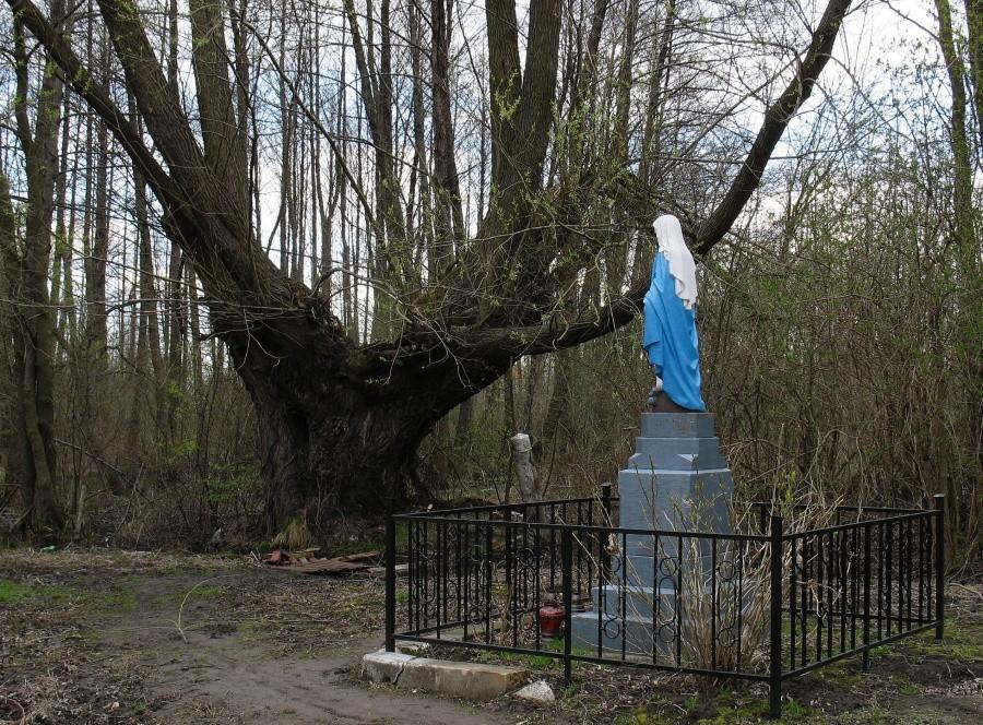 Zapłocie - Figura i stara wierzba