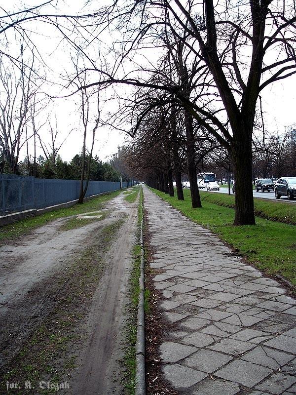 Obywatelu, zrób sobie dobrze sam...