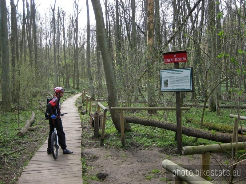 Wojtas podziwia widok.
