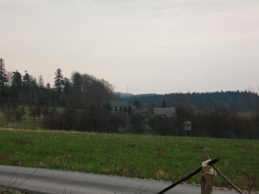 Widok na Patrię w rez. Wilcze.