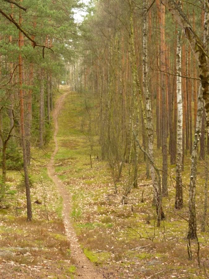Single track przy Krętej Drodze