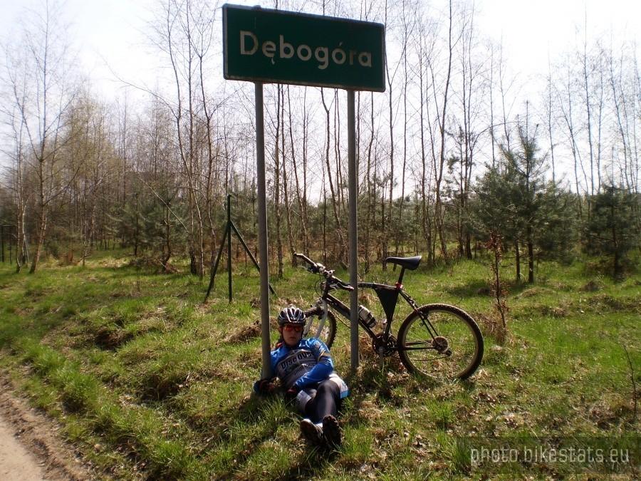Na skraju Puszczy Zielonka - Dębogóra