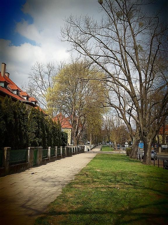 Ulica Monte Cassino w Szczecinie