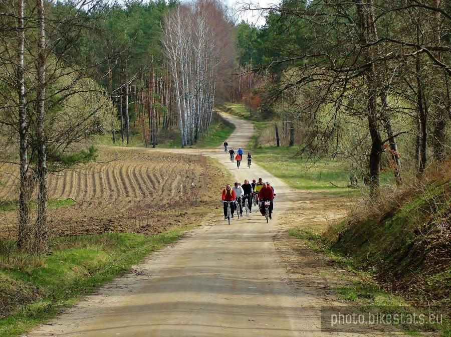 Uczestnicy wycieczki na trasie wiodącej przez las.