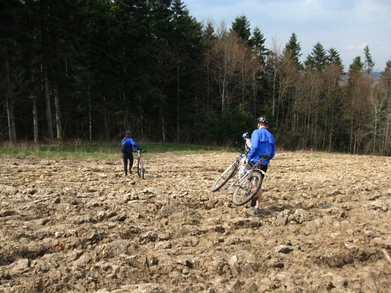 Przez łąki, przez pola...