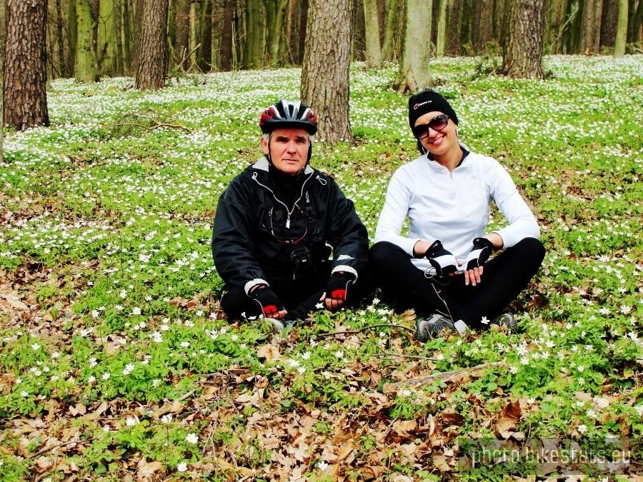 Znależliśmy wiosnę w lesie.
