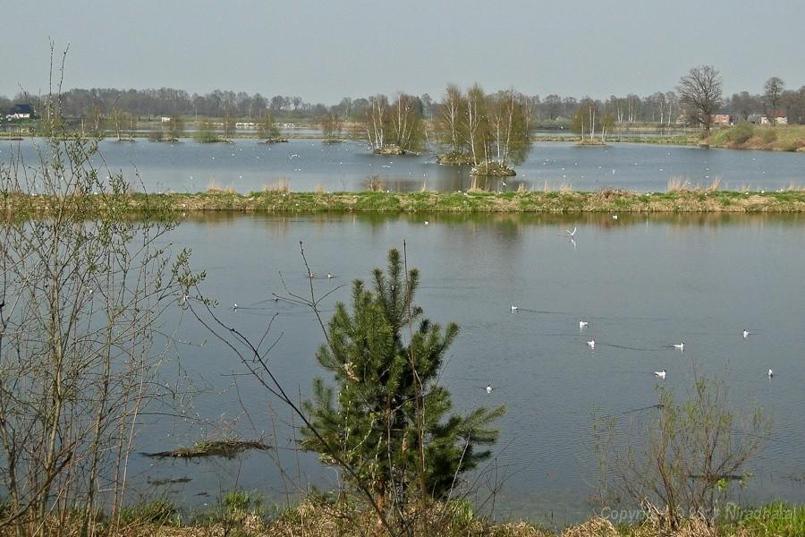 Stawy Góra