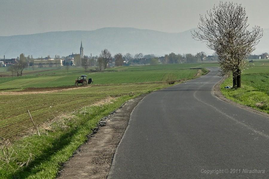 znajomy widok