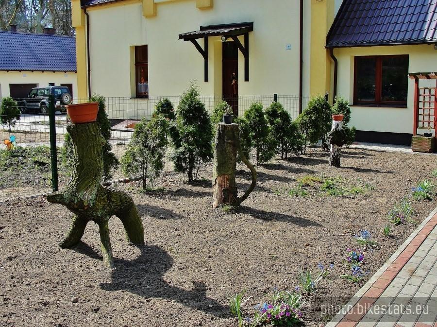 Korzenne cudaki:) - nadleśnictwo Boroszewo.