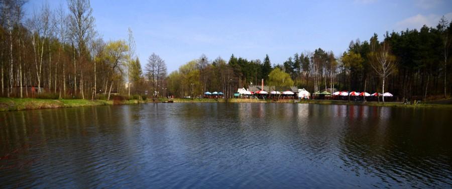 Staw Janina w Katowicach-Giszowcu