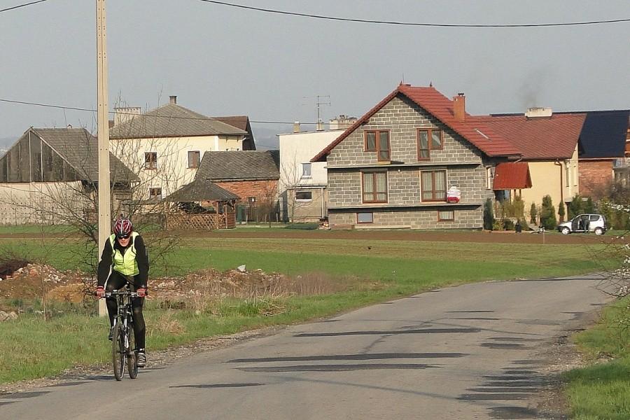 Szukam Elę