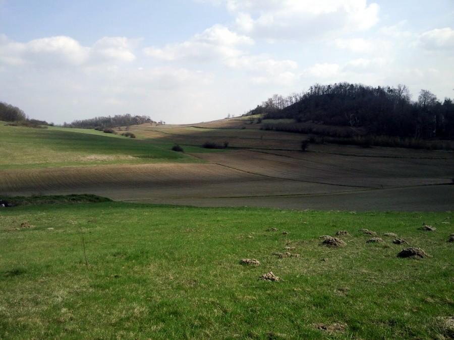 Szlak Orlich Gniazd