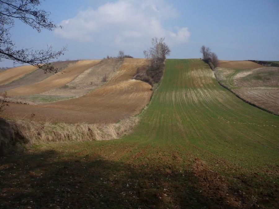 A to Polska właśnie...