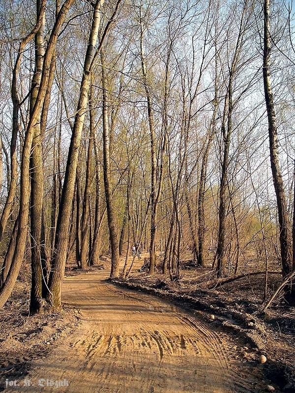 Ścieżka nad Wisłą