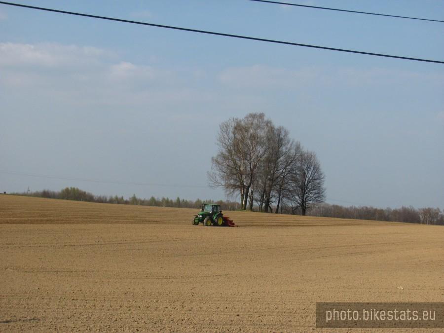 ciekawe co sieją