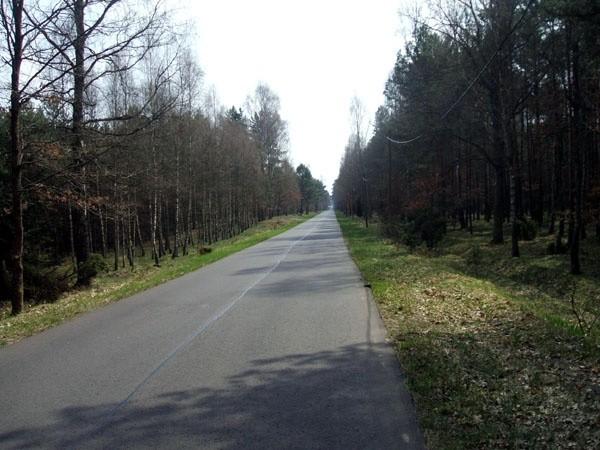Tak wyglądało 80% trasy. Las i co najmniej przyzwoita szosa.