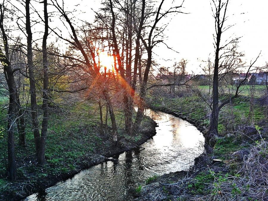 Koło mostku