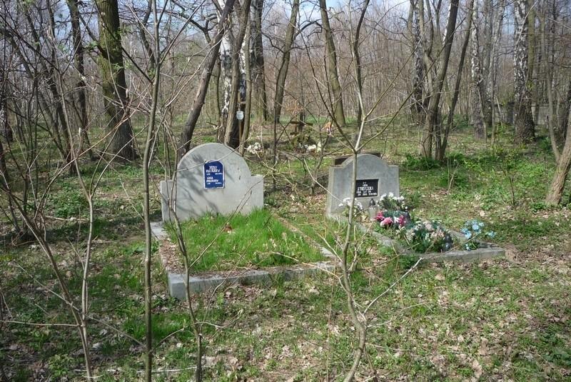 Skuły-cmentarz