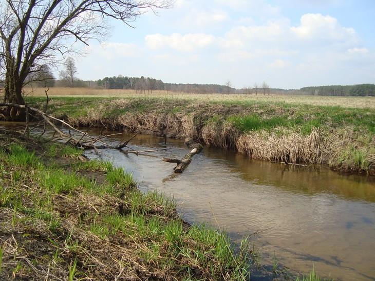 Słomianka