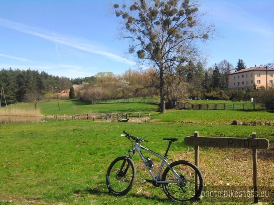 Arboretum Leśne Uniwersytetu Przyrodniczego w Zielonce