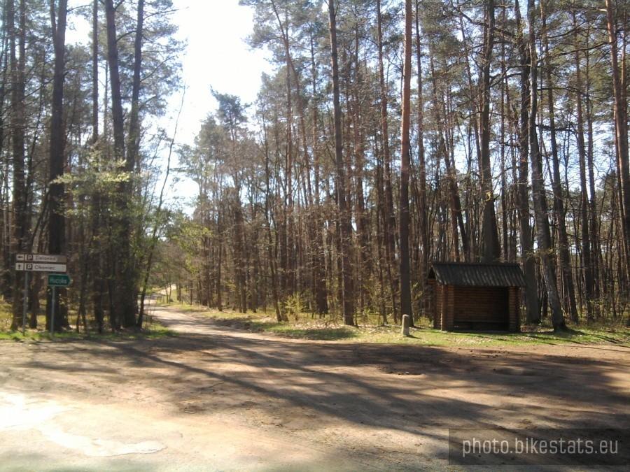 Skrzyżowanie na drodze Zielonka - Boduszewo