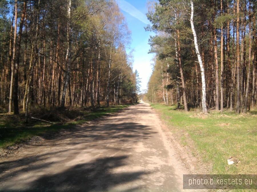 Droga do Dąbrówki Kościelnej