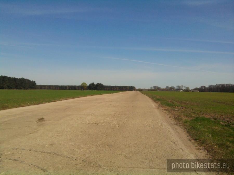 Betonowa droga, będąca dawniej częścią Lotniska Bednary