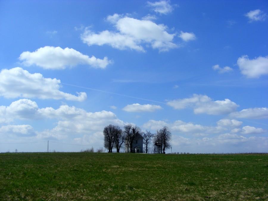 Magdalenka samotna wśród pól
