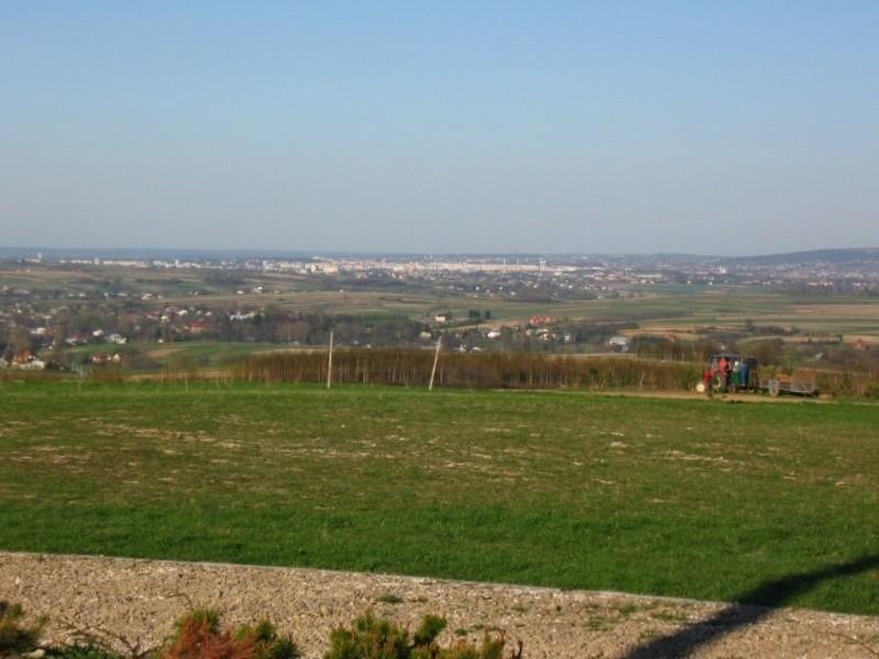 Widok na Rzeszów spod Krzyża w Niechobrzu.